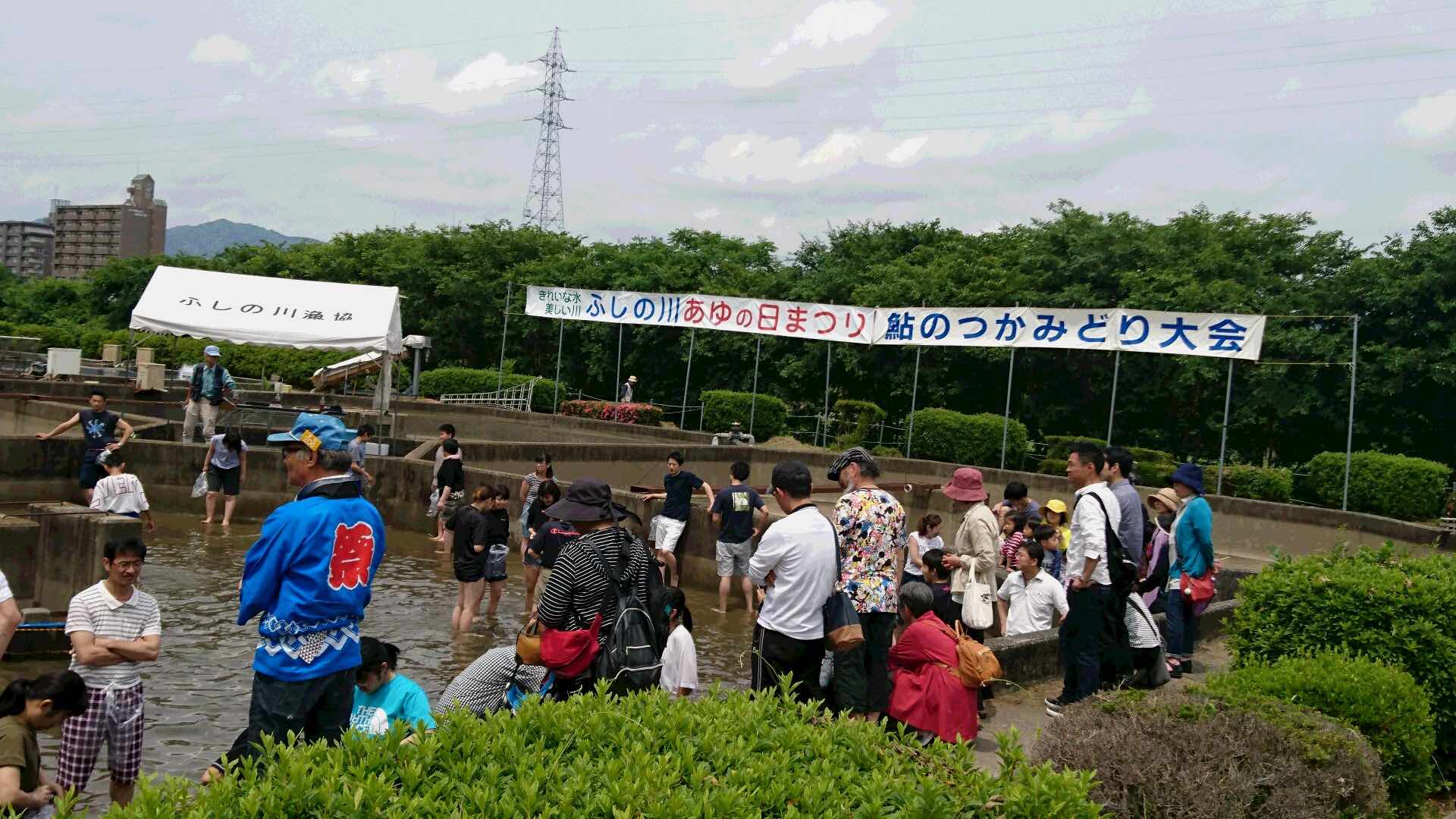 2019_Ayu festival 2
